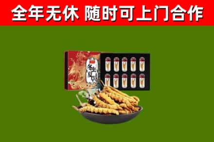 赫山回收冬虫夏草价格