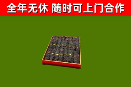 赫山回收海参